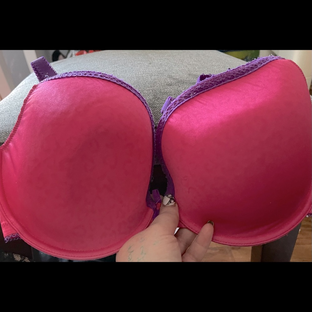 New/in great condition cleo bra
